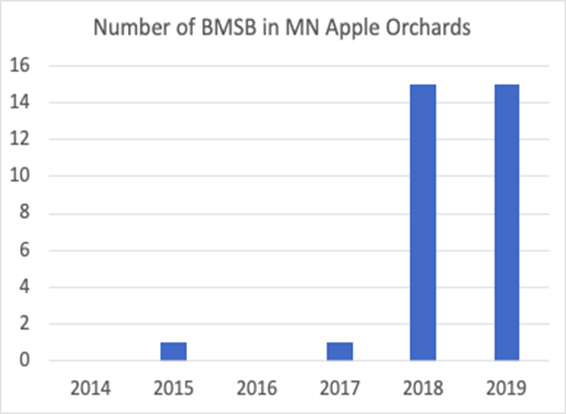 BMSB graph